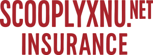 scooplyxnu.net logo