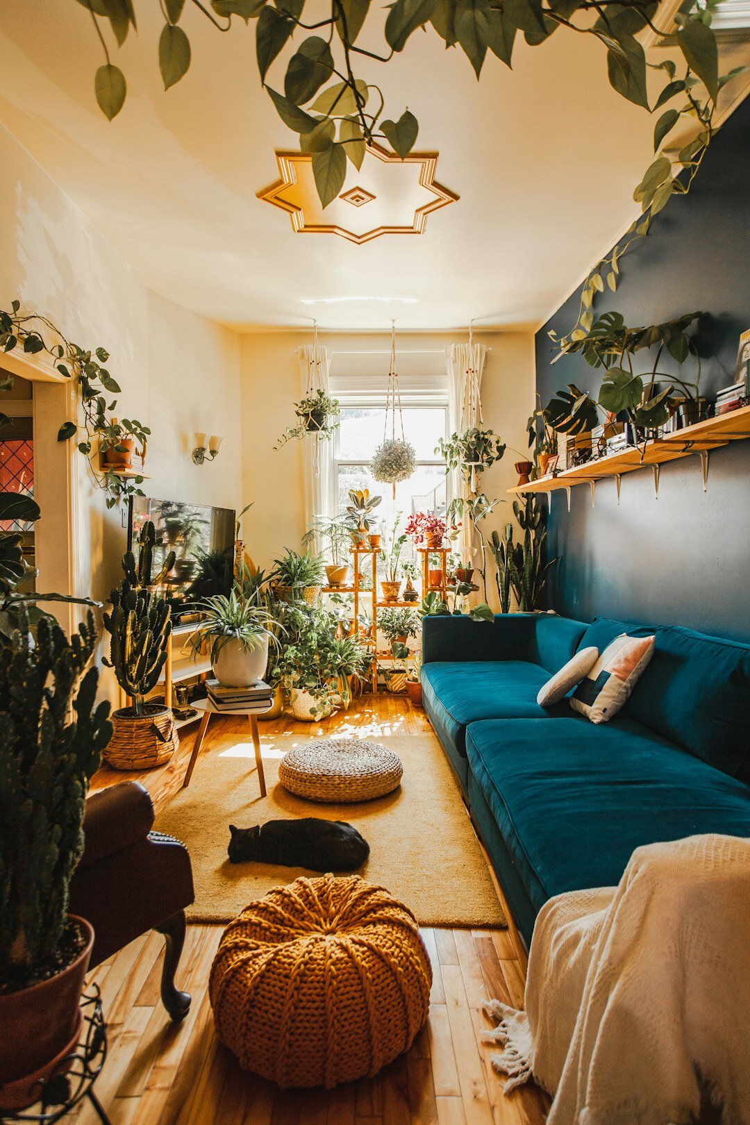 peaceful home interior